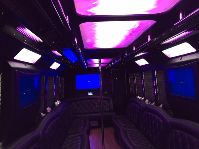 party bus picture
